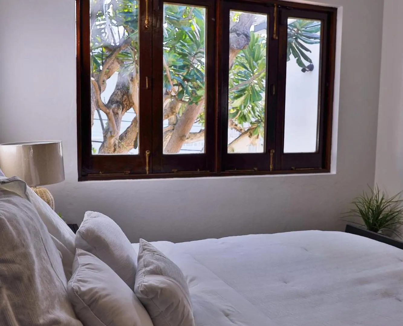 ****  Ola Boutique Hotel San Juan Porto Rico